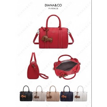 Elegant & Stylish Bag