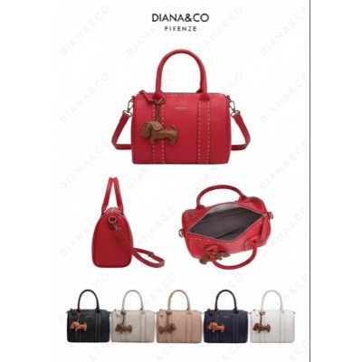 Elegant & Stylish Bag