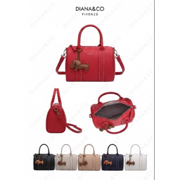 Elegant & Stylish Bag